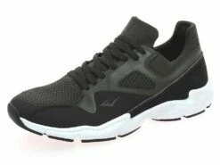 Everlast EVL Fit Sled Lifestyle Verde