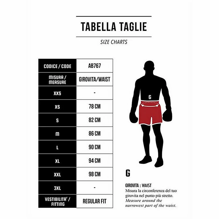 Leone 1947 L47 Muay Thai Shorts Grigio - immagine 3