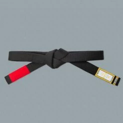 Scramble Tanren V4 BJJ Belt Nero
