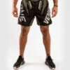 Venum ONE FC Impact Fightshorts Nero-Verde